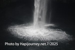 IMG 2724 (1)