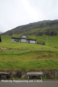IMG 2735 (1)