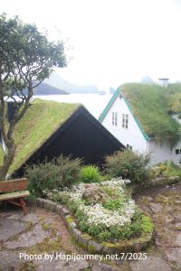 IMG 2740 (1)