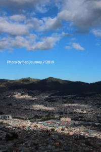 IMG 2741