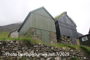 IMG 2742