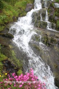 IMG 2745 (1)