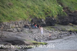 IMG 2752 (1)