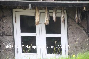 IMG 2758 (1)