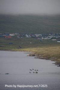 IMG 2764