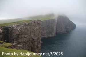 IMG 2768