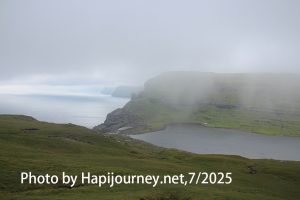 IMG 2771