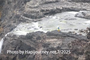 IMG 2781
