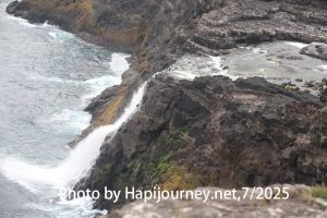 IMG 2782 (1)