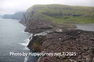 IMG 2793 (1)