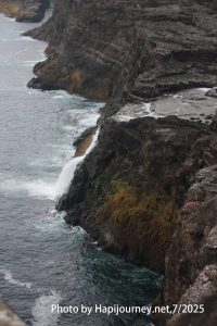 IMG 2794 (1)