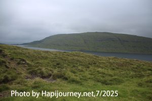 IMG 2798 (1)