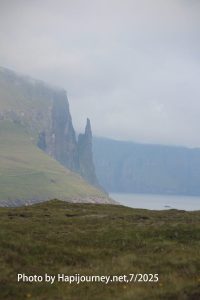 IMG 2801 (1)