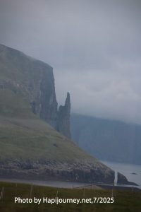 IMG 2803 (1)