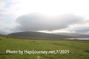 IMG 2804