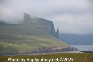 IMG 2805 (1)