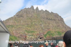 IMG 2814 (1)