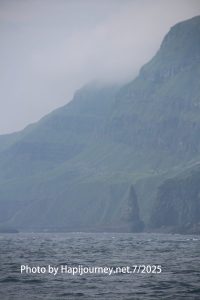 IMG 2832 (1)