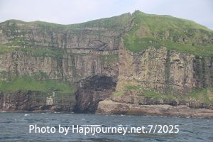 IMG 2833 (1)