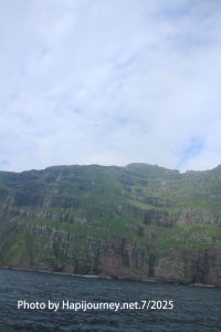 IMG 2844 (1)