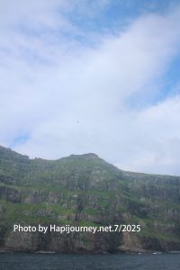 IMG 2845 (1)