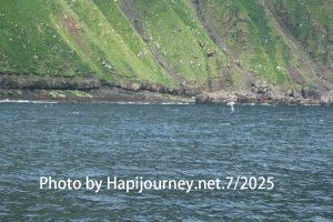 IMG 2848 (1)