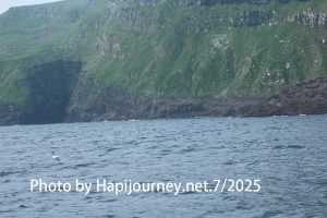 IMG 2849 (1)