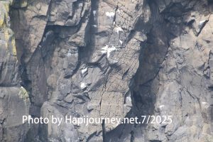 IMG 2852 (1)