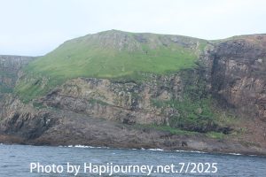IMG 2855 (1)