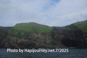 IMG 2856