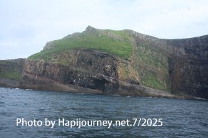 IMG 2858
