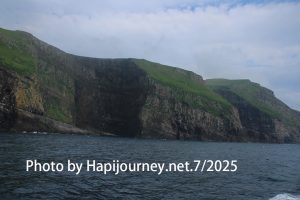 IMG 2859 (1)