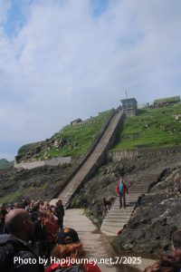 IMG 2865 (1)