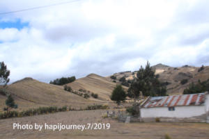 IMG 2867