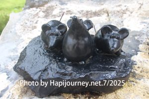 IMG 2872