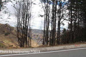 IMG 2885