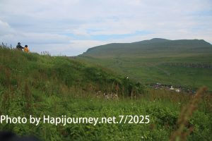 IMG 2887 (1)