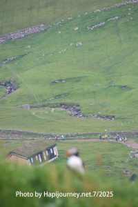 IMG 2888 (1)