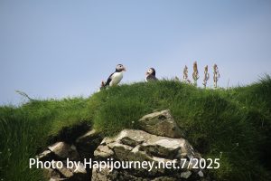 IMG 2901 (1)