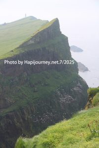 IMG 2928 (1)