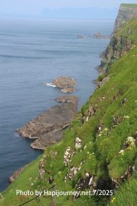 IMG 2934 (1)