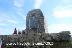 IMG 2943 (1)