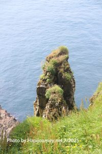 IMG 2946 (1)