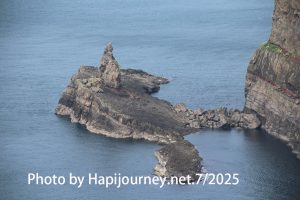 IMG 2951 (1)