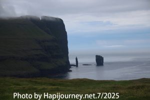 IMG 2964 (1)