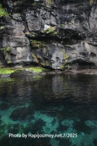 IMG 2971 (1)