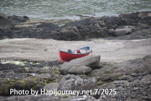IMG 2973 (1)