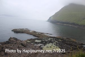 IMG 2975 (1)