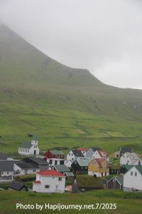 IMG 2979 (1)