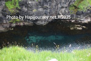 IMG 2981 (1)